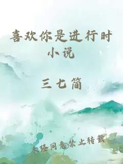 喜歡你是進行時小說