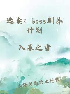 逃妻：boss馴養計劃